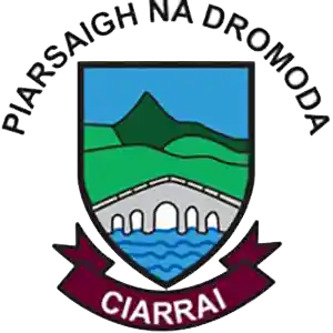dromid pearses Ladies GAA